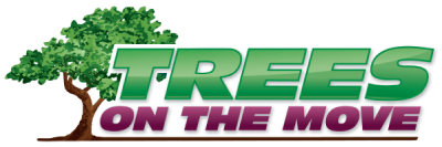 Trees On The Move